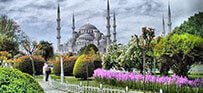 Istanbul Summer Tour